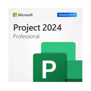 Microsoft Project Professionnel 2024