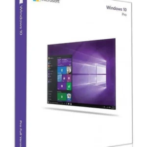 Licence Windows 10 Professionnel