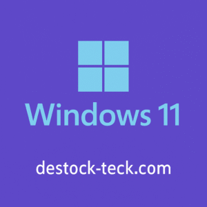 Licence Windows 11|Système d'exploitation