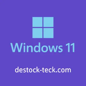 Licence Windows 11|Système d'exploitation