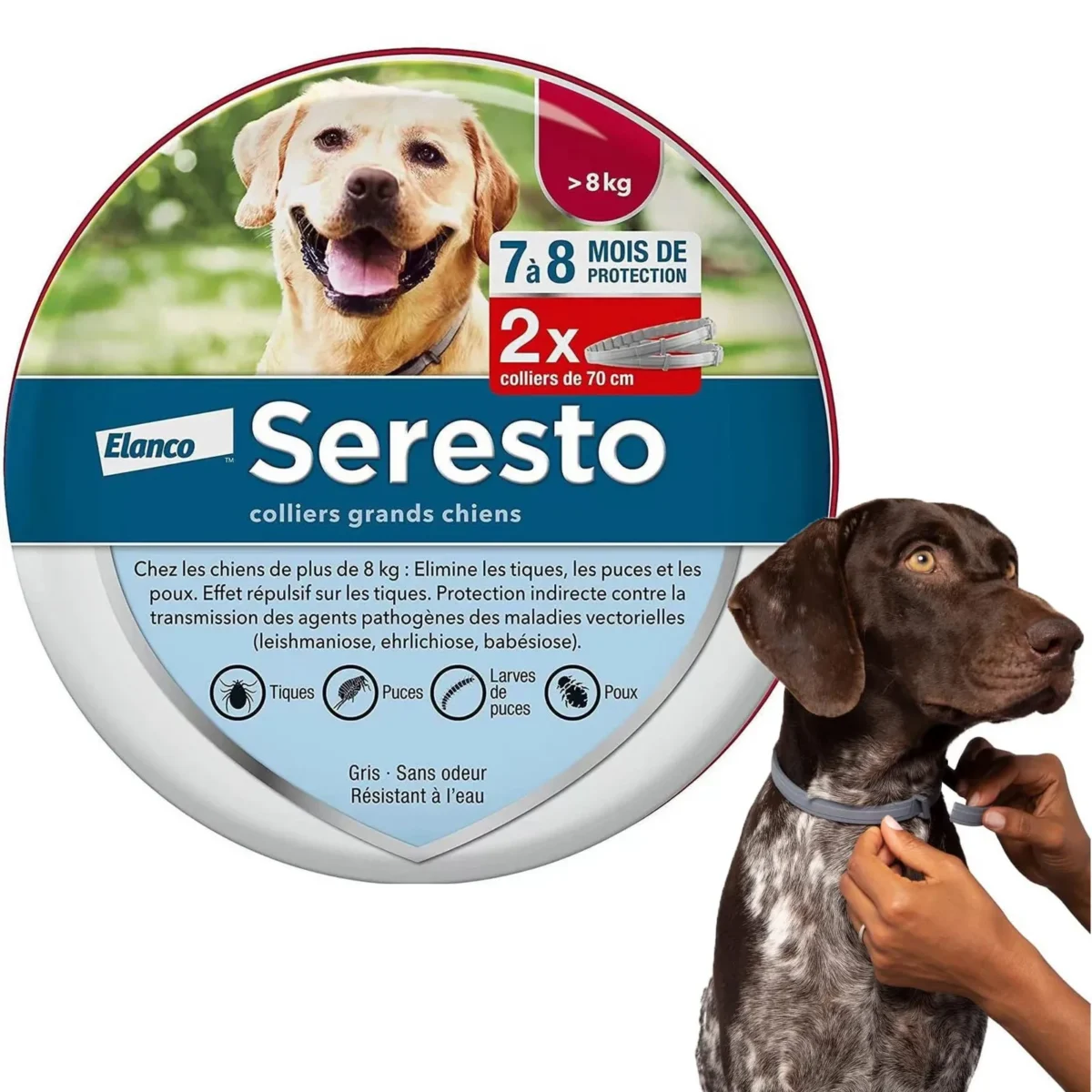 Boîte de 2 x Colliers Seresto Anti-Puces et Anti-Tiques pour Chien – Protection longue durée