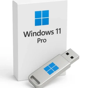 Windows 11 Pro Clé USB Bootable 8GO FR